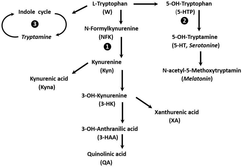 https://cdn.ncbi.nlm.nih.gov/pmc/blobs/2d5b/12348287/ea8bca715f1f/nutrients-17-02505-g001.jpg