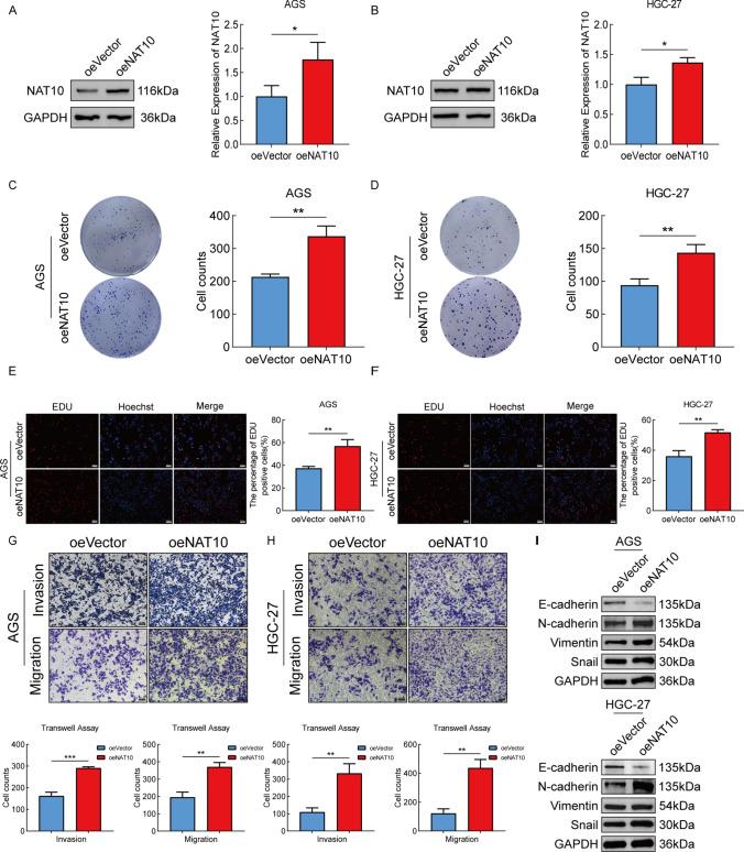 https://cdn.ncbi.nlm.nih.gov/pmc/blobs/2d5c/11825422/6393812021fe/12672_2025_1917_Fig3_HTML.jpg