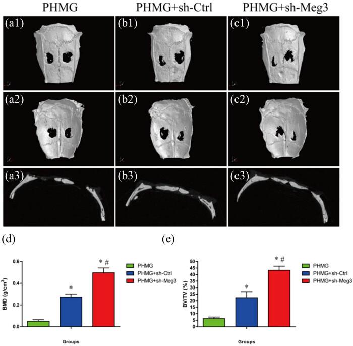 https://cdn.ncbi.nlm.nih.gov/pmc/blobs/2d5d/11330173/f0ec9518c702/j_biol-2022-0908-fig001.jpg