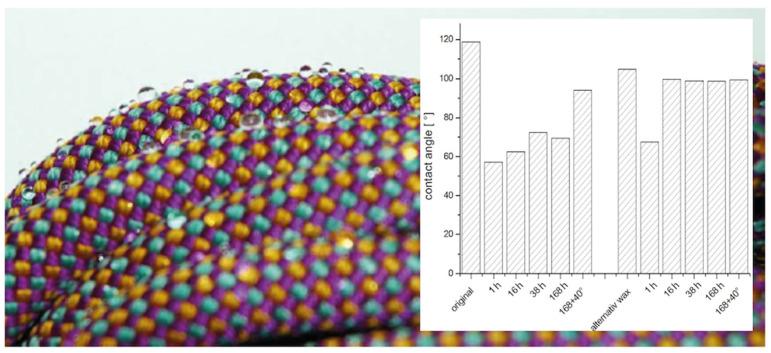 https://cdn.ncbi.nlm.nih.gov/pmc/blobs/2d5d/11357608/220f8d9cd254/molecules-29-03766-g005.jpg