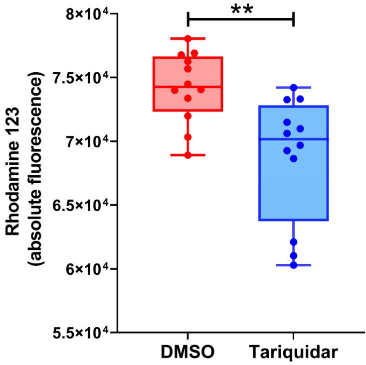 https://cdn.ncbi.nlm.nih.gov/pmc/blobs/2d5d/9102269/ec54bf1fc5c9/cells-11-01556-g003.jpg