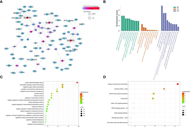 https://cdn.ncbi.nlm.nih.gov/pmc/blobs/2d5f/9576947/4a8c42f2fe46/fpls-13-1011616-g006.jpg