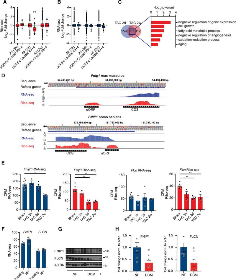 https://cdn.ncbi.nlm.nih.gov/pmc/blobs/2d60/6690133/0921f8de8b4b/res-125-431-g008.jpg