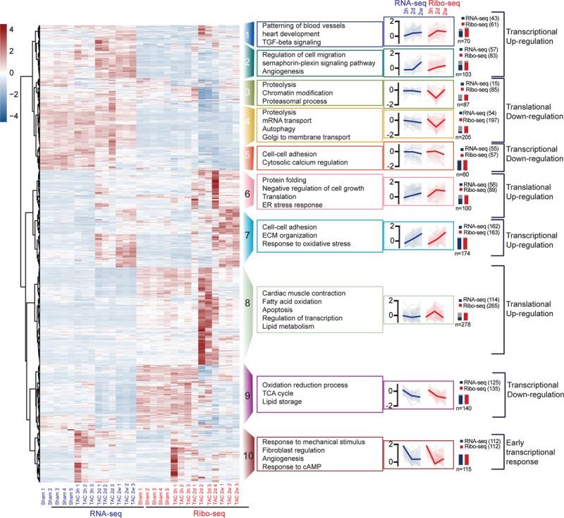 https://cdn.ncbi.nlm.nih.gov/pmc/blobs/2d60/6690133/15605aa60af4/res-125-431-g005.jpg