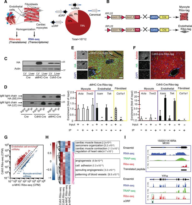 https://cdn.ncbi.nlm.nih.gov/pmc/blobs/2d60/6690133/c9dfd4e4dd30/res-125-431-g002.jpg