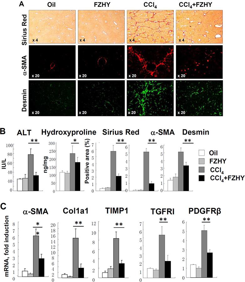 https://cdn.ncbi.nlm.nih.gov/pmc/blobs/2d61/7671588/03cbdfb5c3ca/nihms-1639383-f0001.jpg
