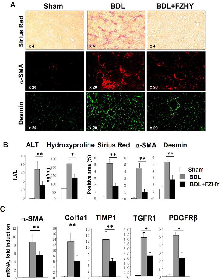 https://cdn.ncbi.nlm.nih.gov/pmc/blobs/2d61/7671588/adfeb54598f0/nihms-1639383-f0002.jpg