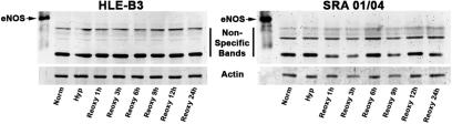 https://cdn.ncbi.nlm.nih.gov/pmc/blobs/2d63/2852620/2aa7b8c74566/mv-v16-630-f5.jpg
