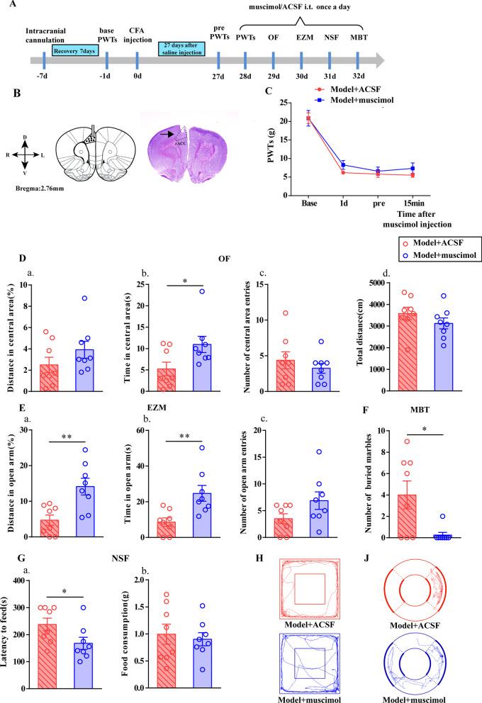 https://cdn.ncbi.nlm.nih.gov/pmc/blobs/2d64/8431944/6ecfddfe9cf6/13041_2021_849_Fig4_HTML.jpg