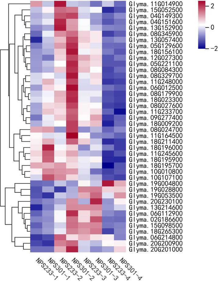 https://cdn.ncbi.nlm.nih.gov/pmc/blobs/2d65/9557928/1cf7bd73c5dc/fpls-13-1012394-g004.jpg