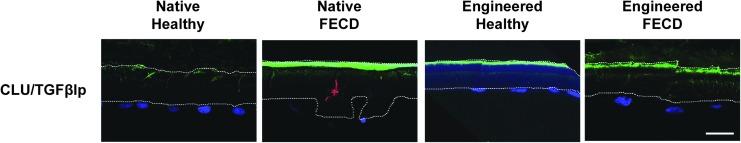 https://cdn.ncbi.nlm.nih.gov/pmc/blobs/2d66/5905948/d903d5a00019/fig-5.jpg