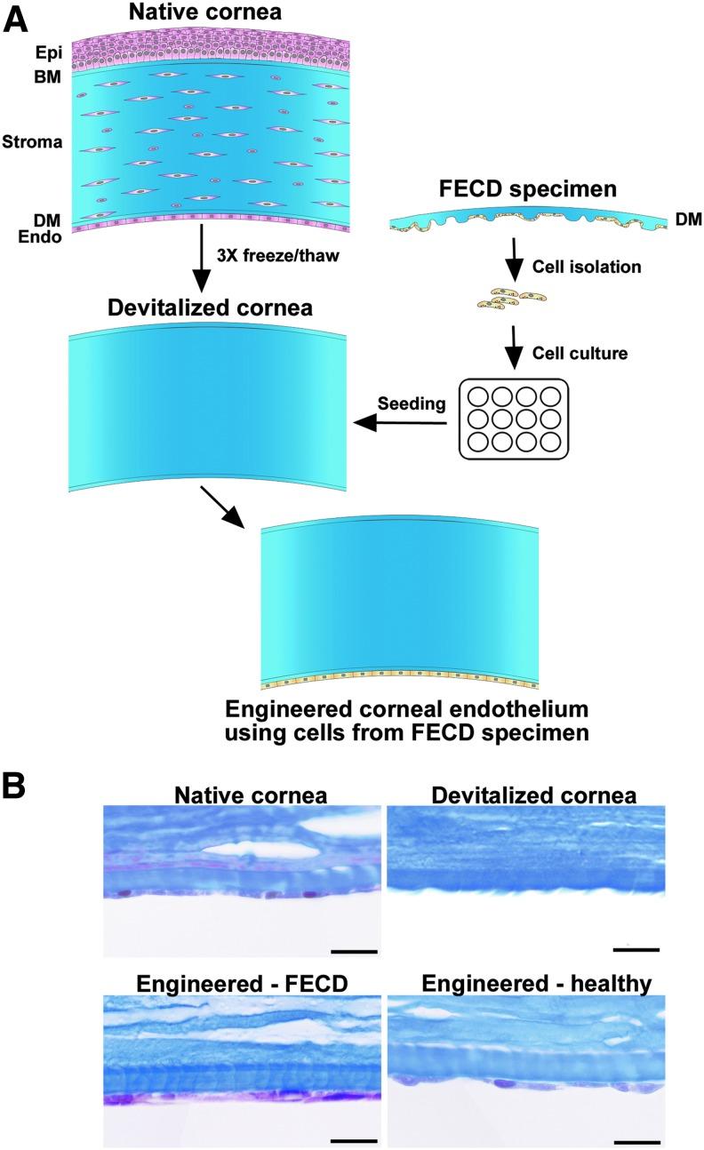 https://cdn.ncbi.nlm.nih.gov/pmc/blobs/2d66/5905948/df94e83928b2/fig-1.jpg