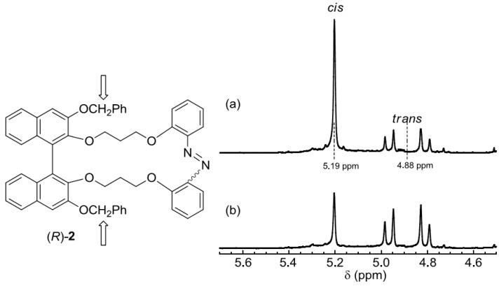 https://cdn.ncbi.nlm.nih.gov/pmc/blobs/2d68/6259615/296318f07bb0/molecules-16-01603-g006.jpg