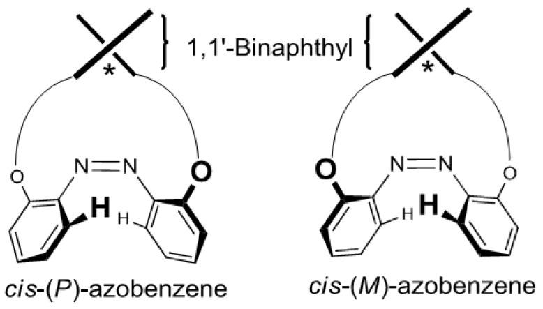 https://cdn.ncbi.nlm.nih.gov/pmc/blobs/2d68/6259615/58dce1be988d/molecules-16-01603-g010.jpg