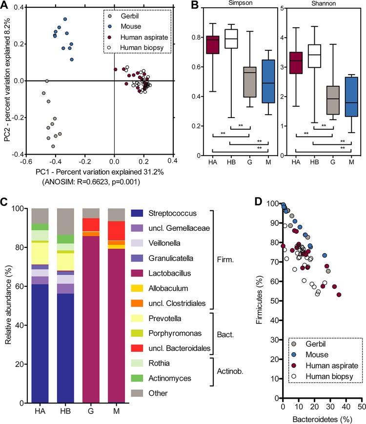 https://cdn.ncbi.nlm.nih.gov/pmc/blobs/2d69/6247015/3d270c6fc5e0/sys0061822920006.jpg