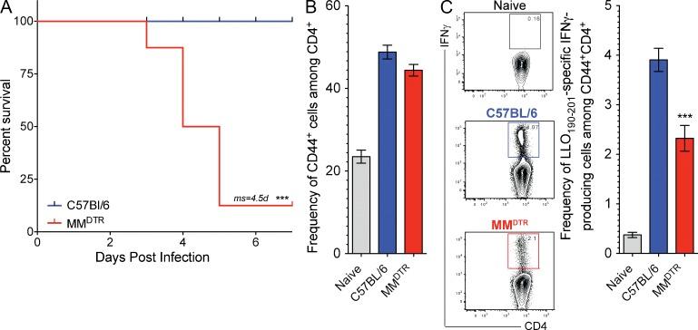 https://cdn.ncbi.nlm.nih.gov/pmc/blobs/2d6b/3782042/5f13a14c22c1/JEM_20130903_Fig6.jpg