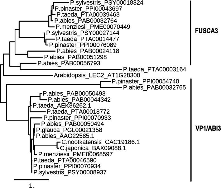 https://cdn.ncbi.nlm.nih.gov/pmc/blobs/2d6b/8157724/3f46da33245b/12864_2021_7718_Fig1_HTML.jpg