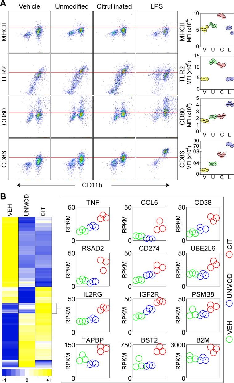 https://cdn.ncbi.nlm.nih.gov/pmc/blobs/2d6c/8711191/d800a4d0be84/12974_2021_2360_Fig4_HTML.jpg
