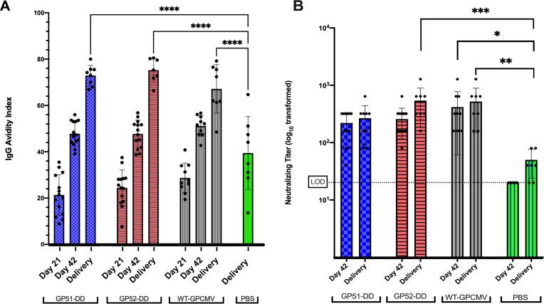 https://cdn.ncbi.nlm.nih.gov/pmc/blobs/2d6d/12282073/de5388527eae/jvi.00207-25.f004.jpg