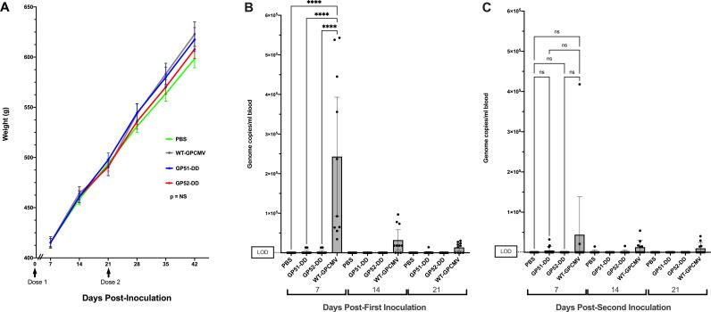 https://cdn.ncbi.nlm.nih.gov/pmc/blobs/2d6d/12282073/fe3a81129408/jvi.00207-25.f002.jpg