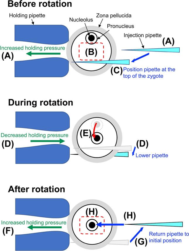 https://cdn.ncbi.nlm.nih.gov/pmc/blobs/2d6d/8175685/05b075c276c1/41598_2021_91148_Fig3_HTML.jpg