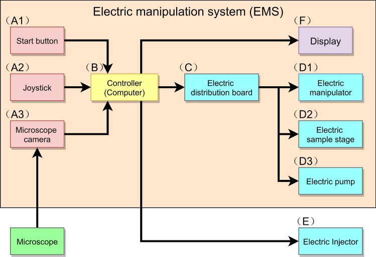 https://cdn.ncbi.nlm.nih.gov/pmc/blobs/2d6d/8175685/1e86327298b1/41598_2021_91148_Fig2_HTML.jpg