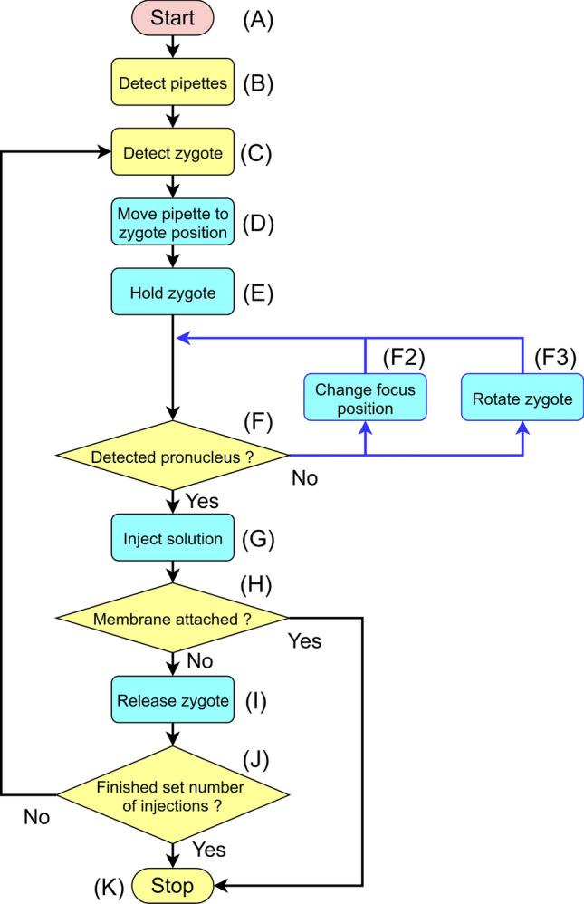 https://cdn.ncbi.nlm.nih.gov/pmc/blobs/2d6d/8175685/bc17a5e04a0a/41598_2021_91148_Fig1_HTML.jpg
