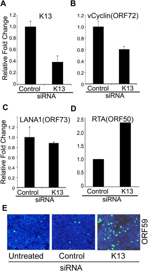 https://cdn.ncbi.nlm.nih.gov/pmc/blobs/2d6e/2020437/c29f20cf401c/pone.0001067.g004.jpg