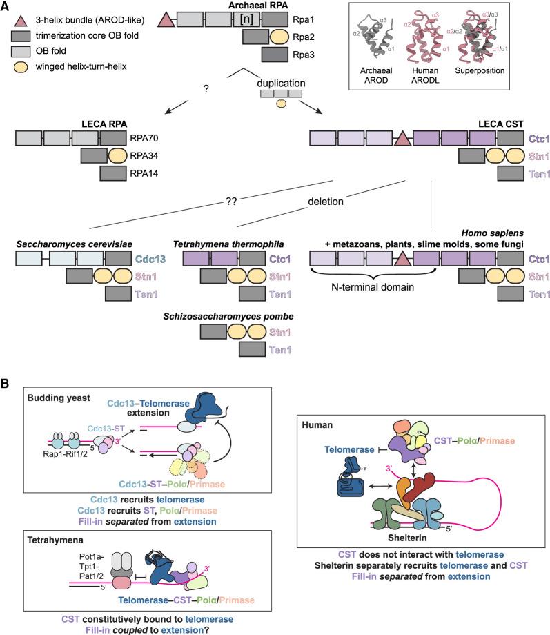 https://cdn.ncbi.nlm.nih.gov/pmc/blobs/2d6f/10499019/513ba50f31d7/555f03.jpg