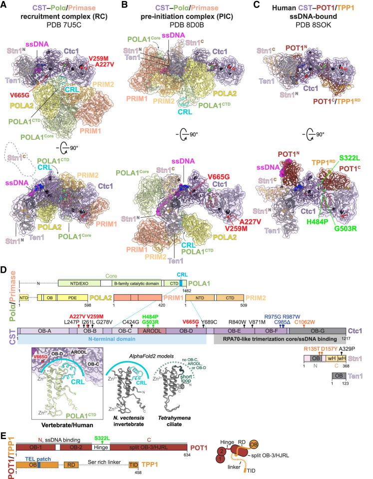https://cdn.ncbi.nlm.nih.gov/pmc/blobs/2d6f/10499019/fe7d0a97f132/555f05.jpg