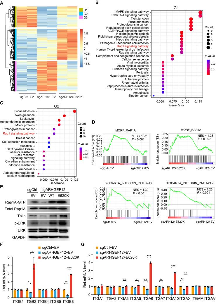 https://cdn.ncbi.nlm.nih.gov/pmc/blobs/2d71/12374580/485f4350cebd/thnov15p8202g006.jpg