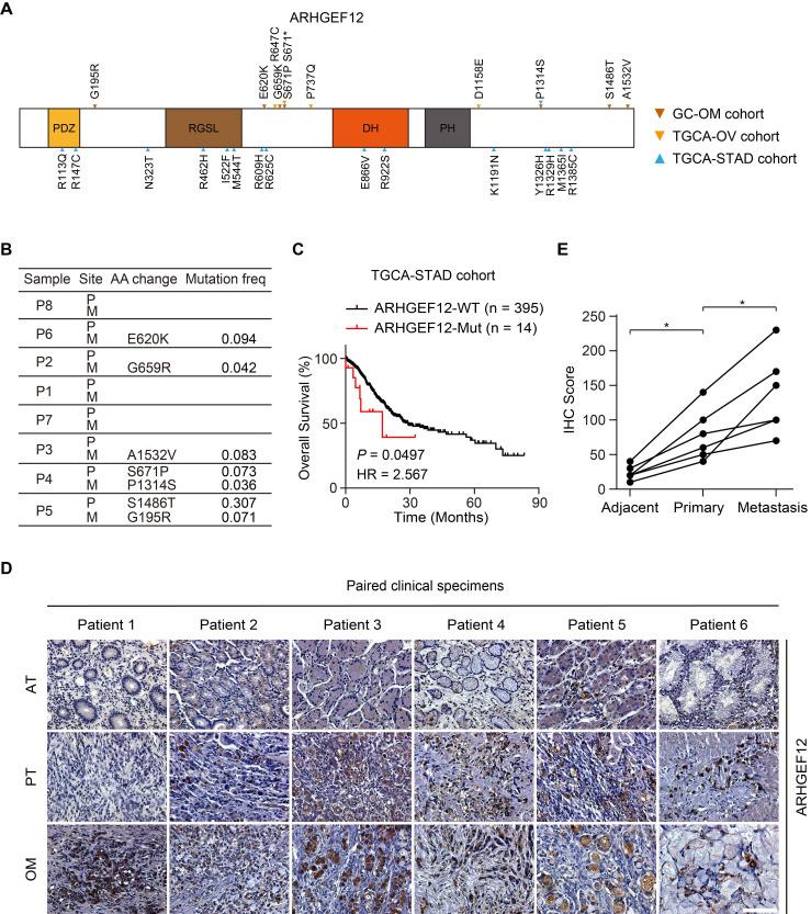 https://cdn.ncbi.nlm.nih.gov/pmc/blobs/2d71/12374580/ab33cb4d52eb/thnov15p8202g003.jpg