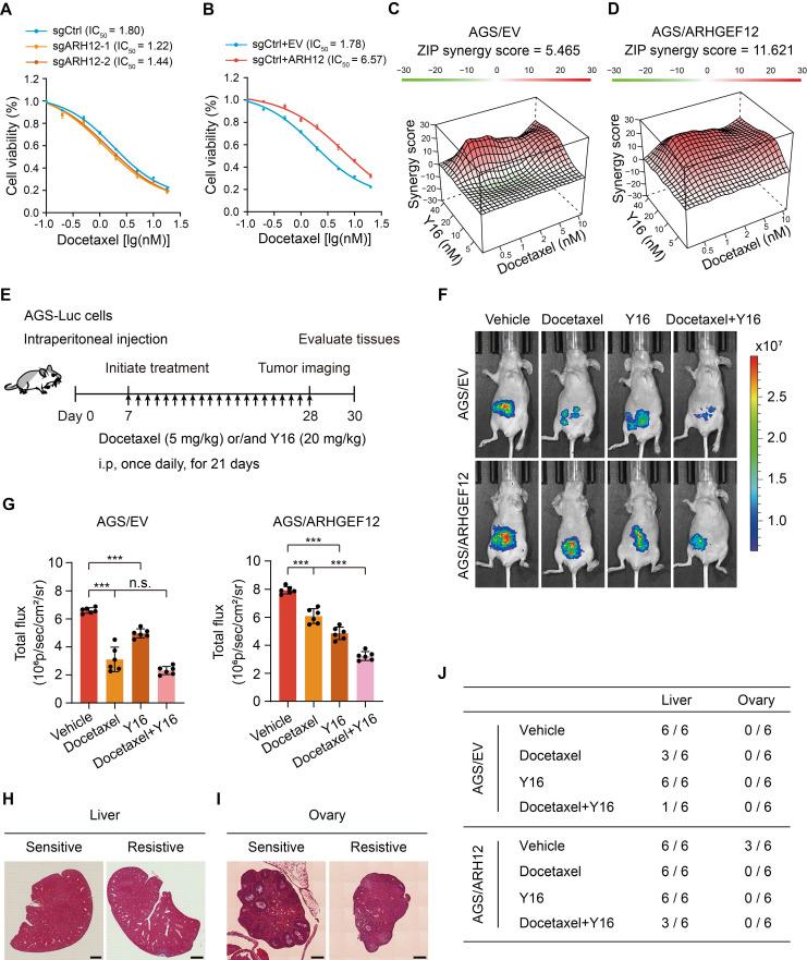 https://cdn.ncbi.nlm.nih.gov/pmc/blobs/2d71/12374580/be123c872612/thnov15p8202g008.jpg