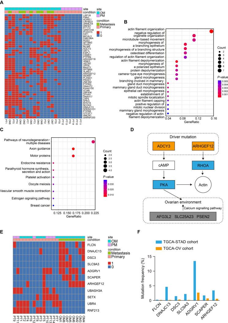 https://cdn.ncbi.nlm.nih.gov/pmc/blobs/2d71/12374580/bf8314353ef2/thnov15p8202g002.jpg