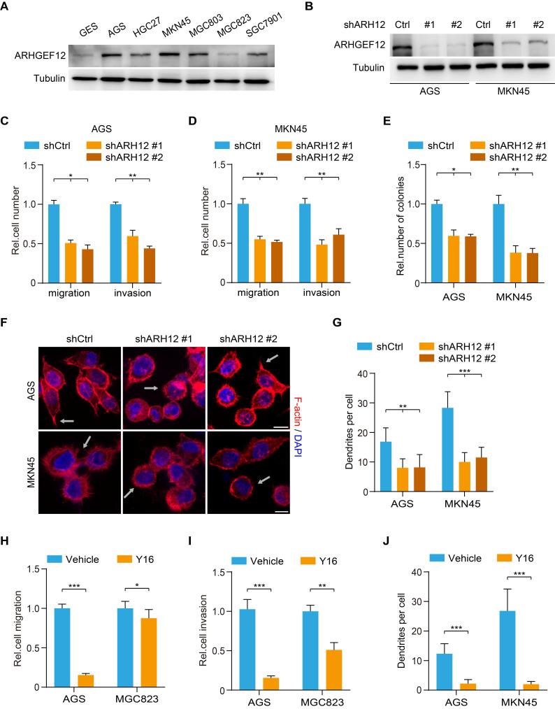https://cdn.ncbi.nlm.nih.gov/pmc/blobs/2d71/12374580/e833fb1aa6ba/thnov15p8202g004.jpg