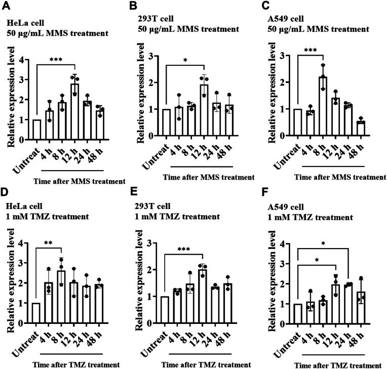 https://cdn.ncbi.nlm.nih.gov/pmc/blobs/2d72/10987297/beabb7a73c1e/gr2.jpg