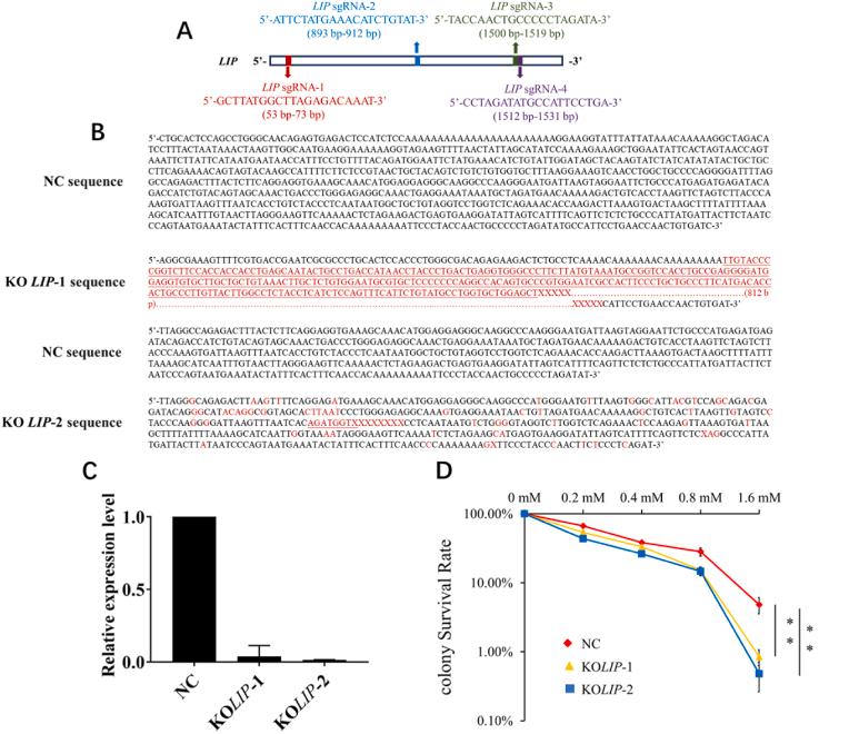 https://cdn.ncbi.nlm.nih.gov/pmc/blobs/2d72/10987297/e53f047377fa/gr4.jpg