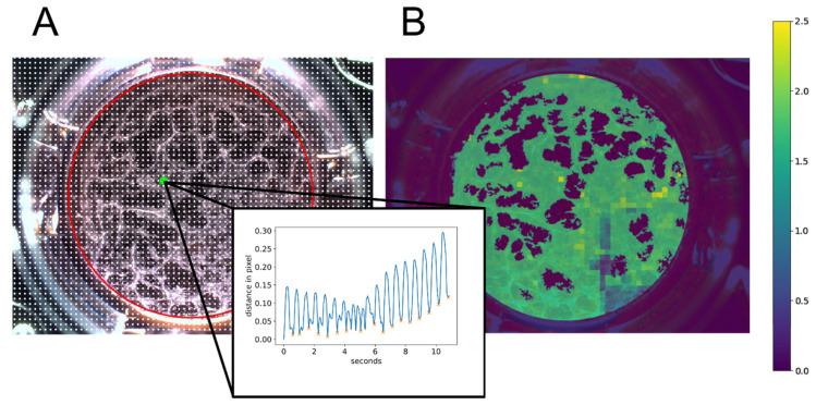 https://cdn.ncbi.nlm.nih.gov/pmc/blobs/2d72/8950674/1524e35308fa/ijms-23-03295-g009.jpg