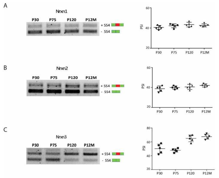 https://cdn.ncbi.nlm.nih.gov/pmc/blobs/2d73/8261640/7bb167e14d33/jfmk-06-00048-g003.jpg