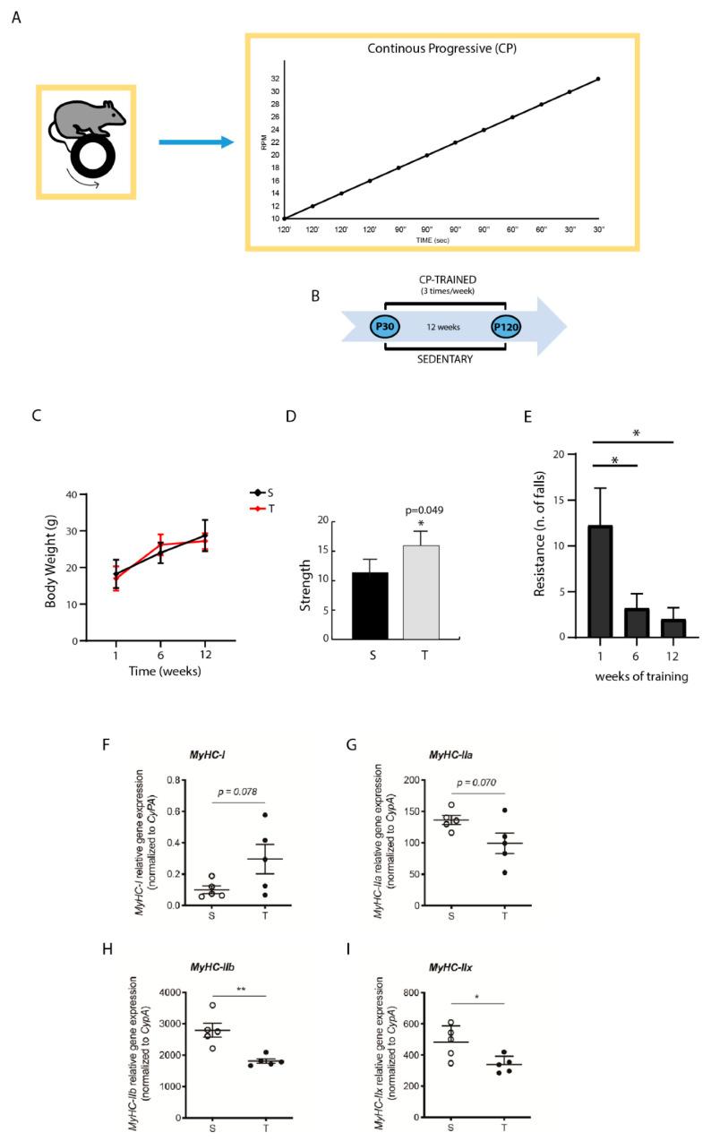 https://cdn.ncbi.nlm.nih.gov/pmc/blobs/2d73/8261640/a798d316cd69/jfmk-06-00048-g001.jpg