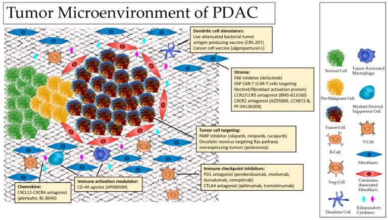 https://cdn.ncbi.nlm.nih.gov/pmc/blobs/2d74/8583016/39bbf16cb033/cancers-13-05510-g001.jpg