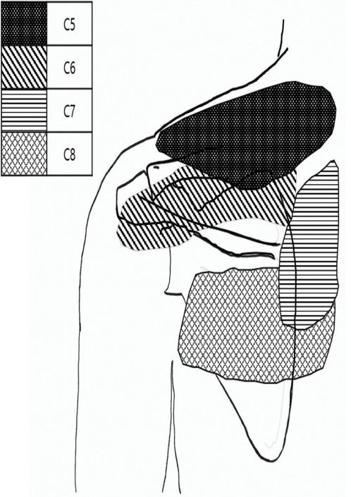 https://cdn.ncbi.nlm.nih.gov/pmc/blobs/2d75/7788378/66490a5afd6c/asj-2020-0647f2.jpg