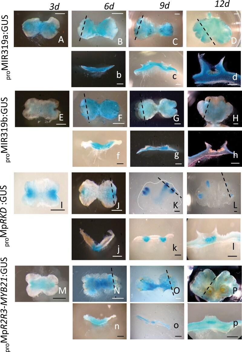 https://cdn.ncbi.nlm.nih.gov/pmc/blobs/2d77/12369473/79f490a2d72a/eraf148_fig6.jpg