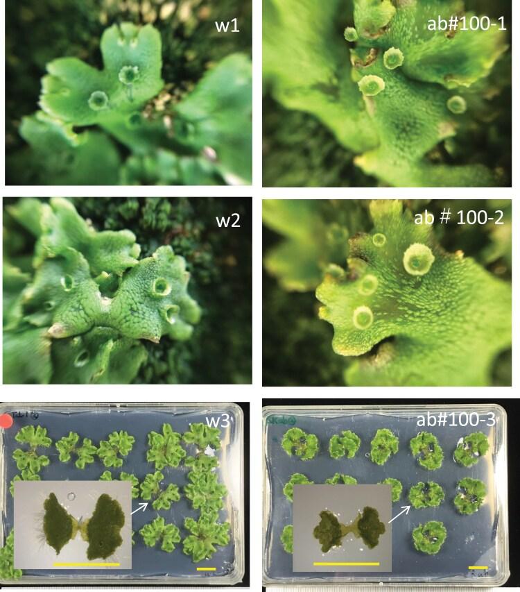 https://cdn.ncbi.nlm.nih.gov/pmc/blobs/2d77/12369473/e4a63b44c914/eraf148_fig7.jpg