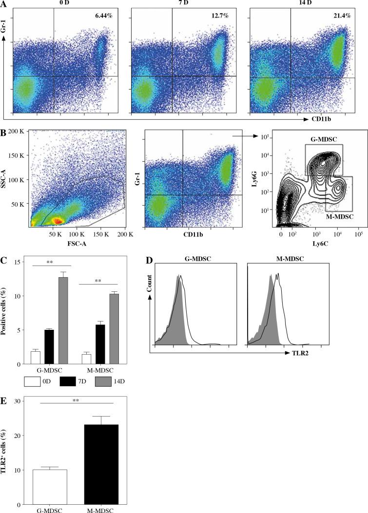 https://cdn.ncbi.nlm.nih.gov/pmc/blobs/2d78/9115589/9652ec9b1801/CEJI-47-46311-g001.jpg