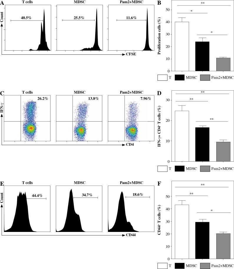 https://cdn.ncbi.nlm.nih.gov/pmc/blobs/2d78/9115589/d7d9e5f51ef1/CEJI-47-46311-g002a.jpg