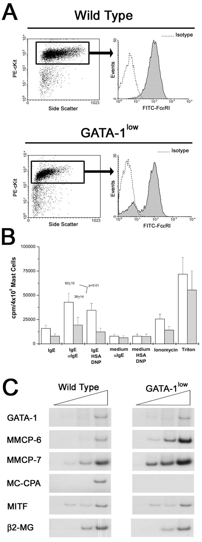 https://cdn.ncbi.nlm.nih.gov/pmc/blobs/2d79/2193836/de5c9ce7de36/20021149f7.jpg