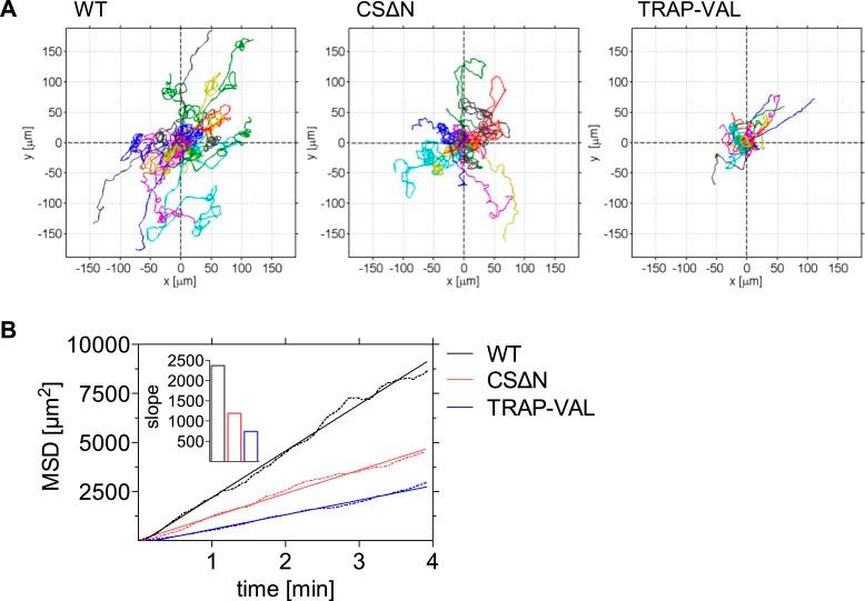 https://cdn.ncbi.nlm.nih.gov/pmc/blobs/2d7a/4594146/36fcfe852c15/elife07789f004.jpg