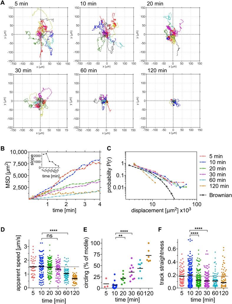 https://cdn.ncbi.nlm.nih.gov/pmc/blobs/2d7a/4594146/c3273336aa45/elife07789f001.jpg