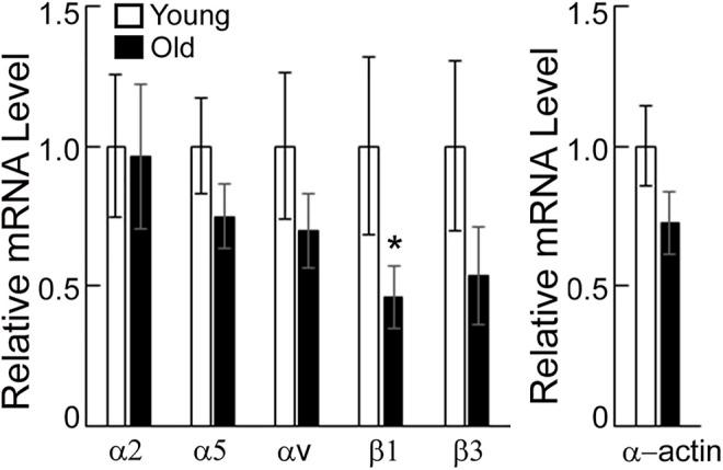https://cdn.ncbi.nlm.nih.gov/pmc/blobs/2d7c/9301045/1ad15205487e/fphys-13-913673-g002.jpg